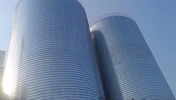 宿城2座混凝土高架卷板仓